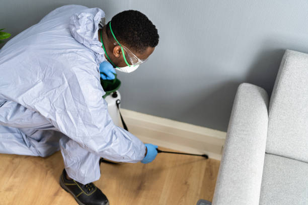 Pest Control for Hotels in Pueblo West, CO